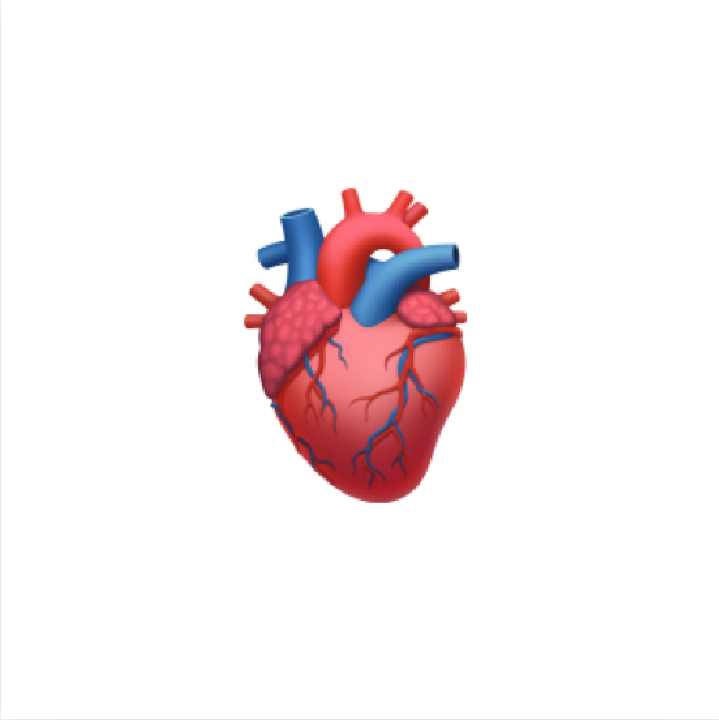 icon cardio