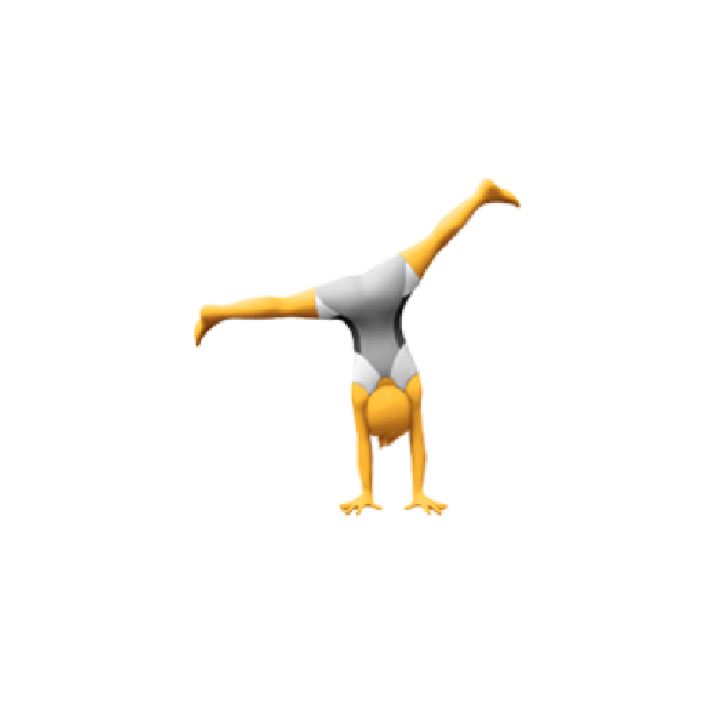 icon flexibilite